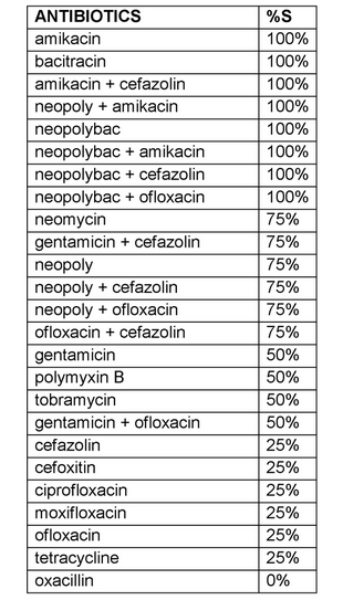 Staphylococcus haemolyticus